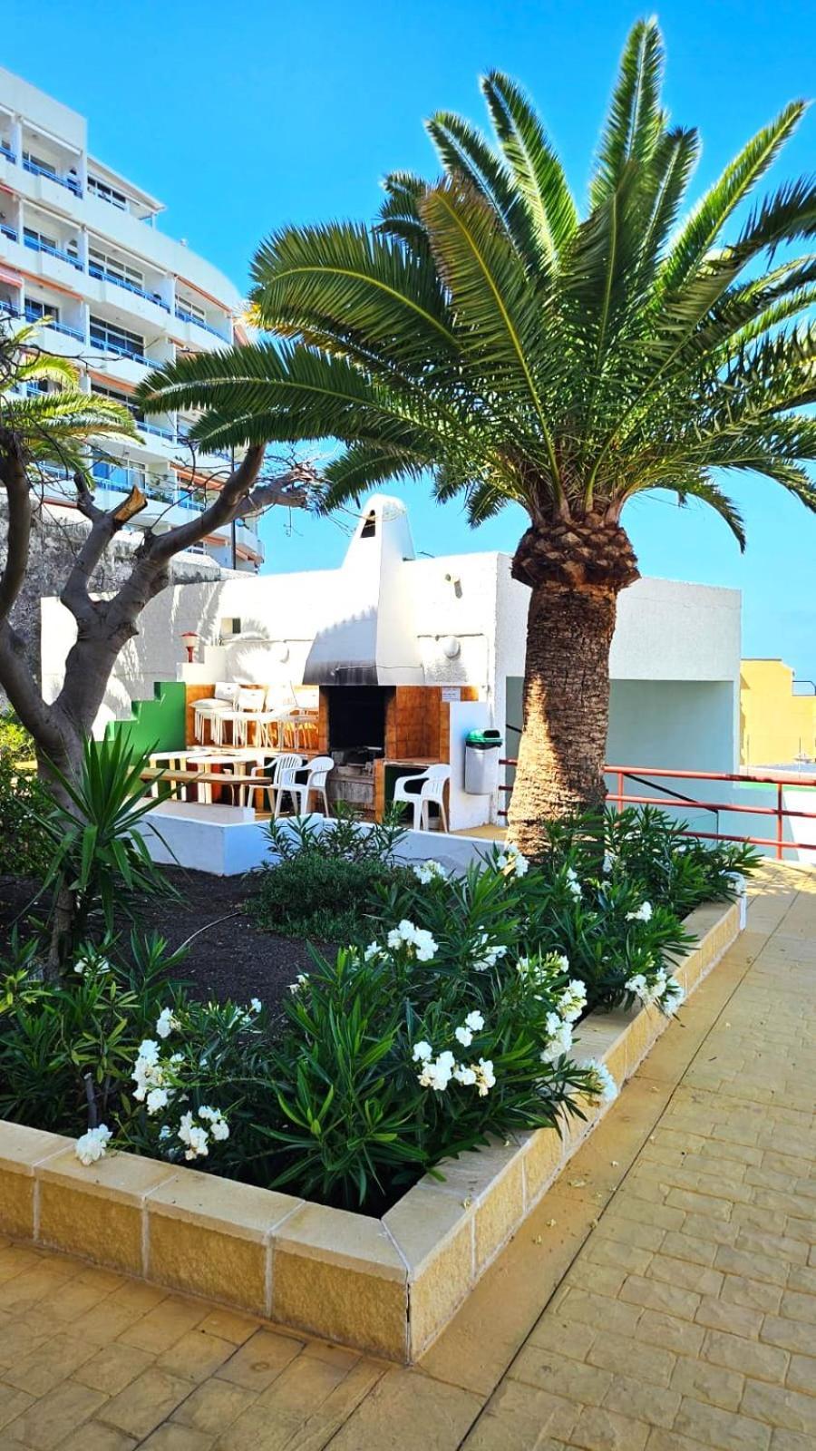 Апартаменты Playa De La Arena Puerto de Santiago (Tenerife) Exterior foto